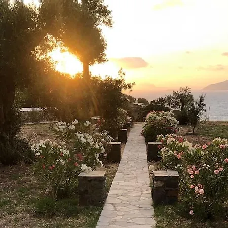 Loutra Olive Gardens Stone House #1 Σπίτι διακοπών