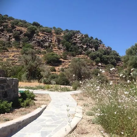 Loutra Olive Gardens Stone House #1 Μανδράκι