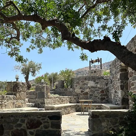 Σπίτι διακοπών Loutra Olive Gardens Stone House #1