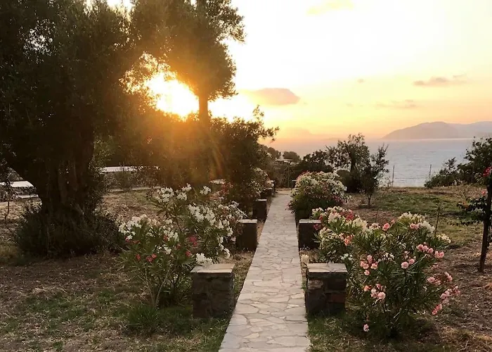 Loutra Olive Gardens Stone House #1 Tatil Evi