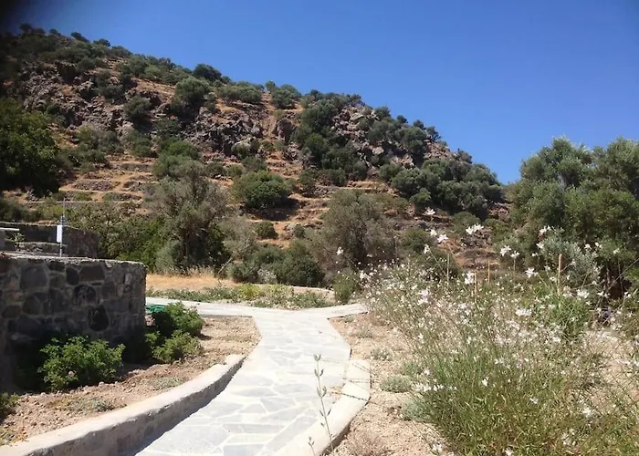 Loutra Olive Gardens Stone House #1 Μανδράκι